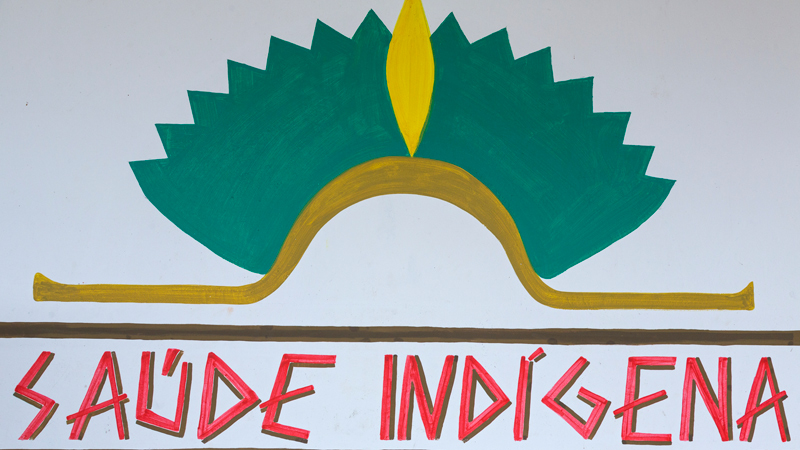 Studie: Mit indigenen Sprachen bricht auch Heil-Wissen weg