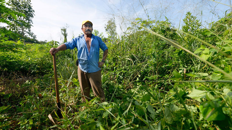 Kirchen fordern ökologische Landwirtschaft