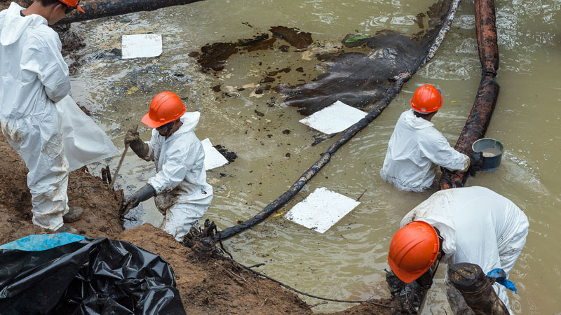 Vorbereitungstreffen zu Amazonas-Synode in Washington