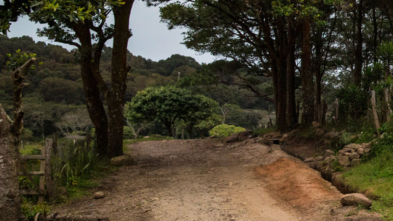 Nicaragua auf dem Weg ins Ungewisse