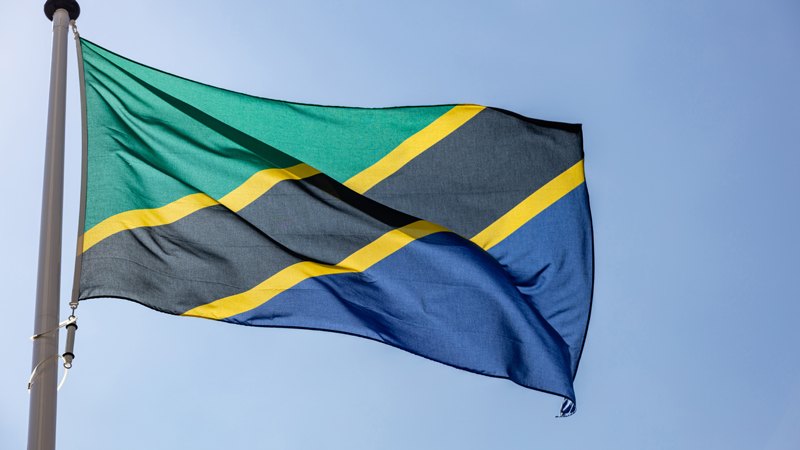 Die Flagge von Tansania vor blauem Himmel