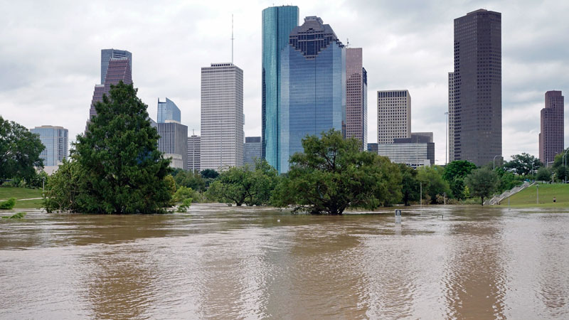 Warum sich der Klimaschutz wirtschaftlich rechnet