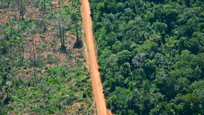 Eine neue Straße für die Weltklimakonferenz in Brasilien