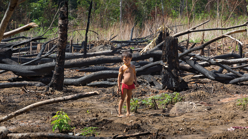 Misereor: Amazonas-Brände gefährden Arbeit von Jahrzehnten