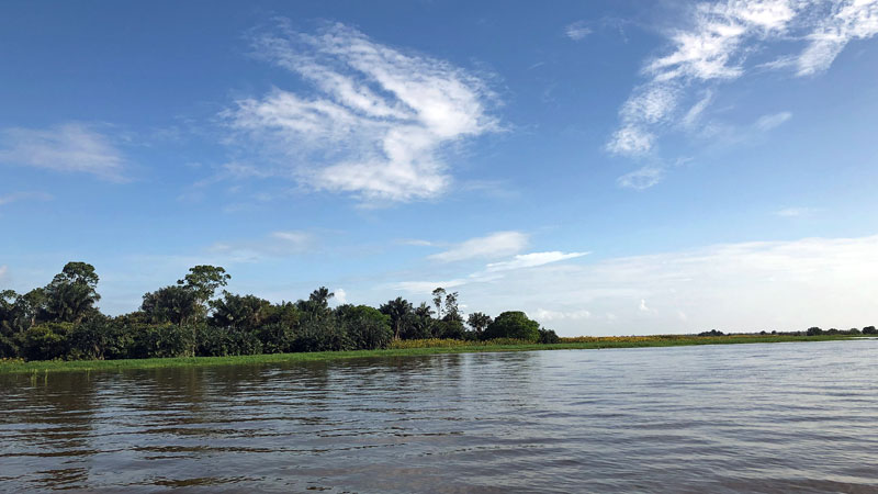Brasiliens Amazonasbischöfe bereiten Synode vor