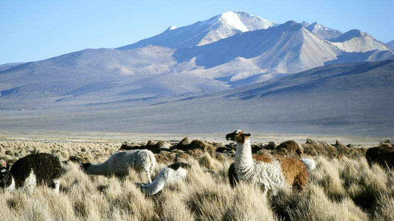 Bischof Ackermann besucht Bolivien