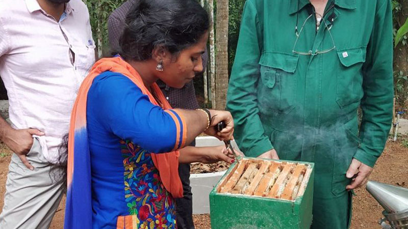 Bistum unterstützt Bienenzucht im indischen Kerala
