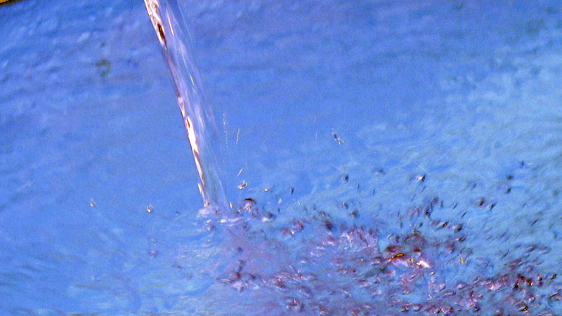 Bündnis warnt vor mehr Konflikten wegen Wasserknappheit