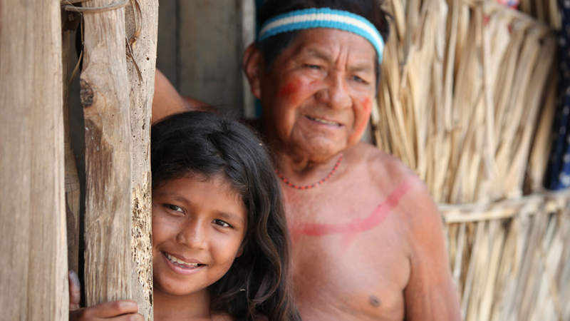 Papst erwägt Synode für Amazonas-Völker