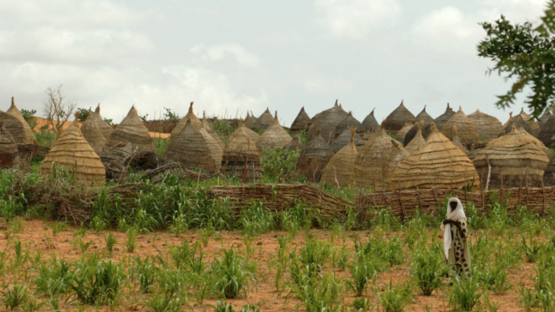 Hütten in Dolbel (Niger). Foto: KNA-Bild