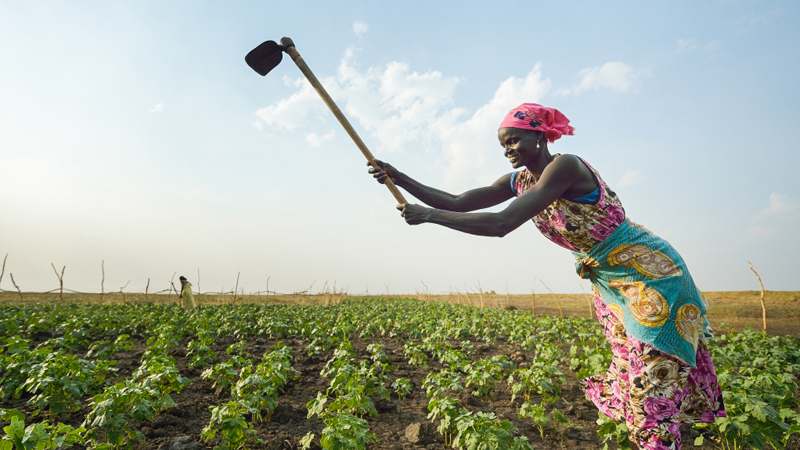 Frau im Südsudan bestellt ein Feld. Bild: Paul Jeffrey/CNS photo/KNA