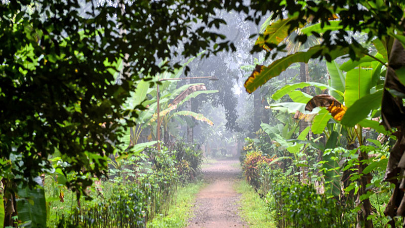 Naturschützer gegen Indigene in Indien
