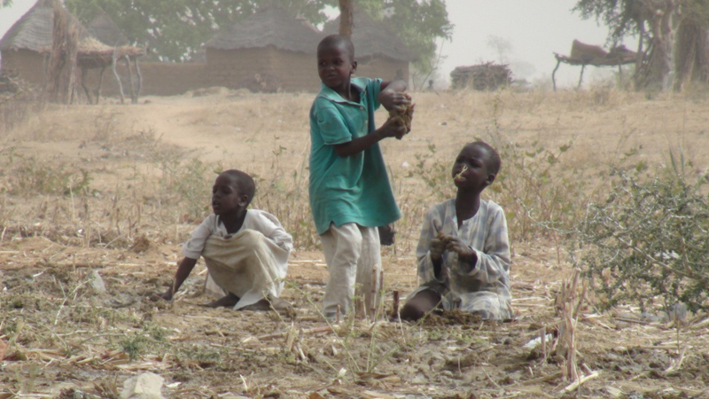 Kamerun in der Krise - Kardinal entführt
