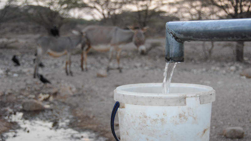 Kämpft die Welt künftig um Wasser?