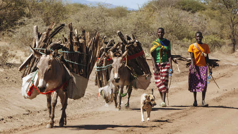 Afrikanische Gegensätze