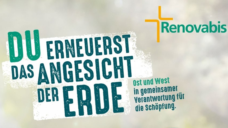 Renovabis-Pfingstaktion nimmt Schöpfungsverantwortung in Blick