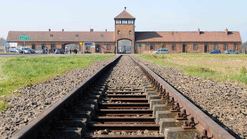 Verzweifeltes Aufbäumen gegen die Vernichtung 