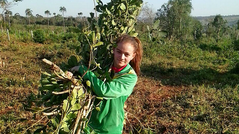 Steyler Mission startet Osteraktion zugunsten junger Menschen in Paraguay