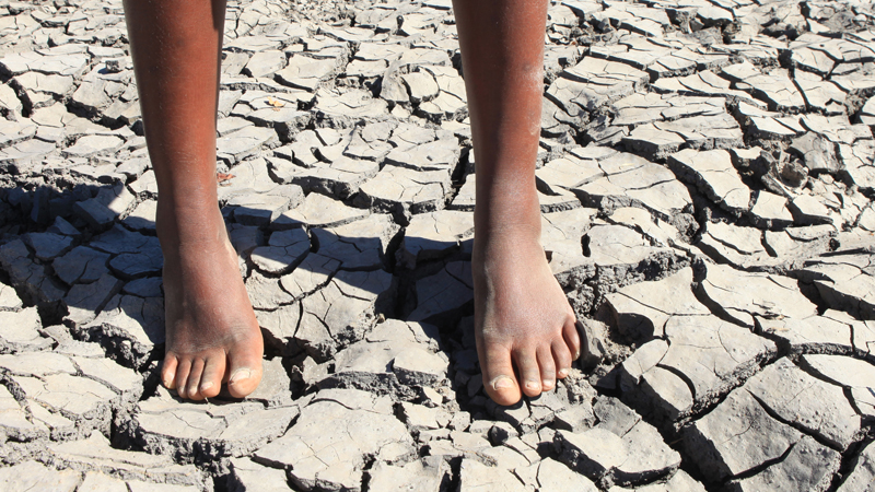 Wasserkonflikt in Kamerun treibt 100.000 Menschen in die Flucht