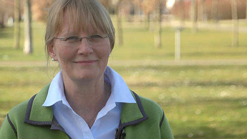 Katholikenkomitee: Nachhaltigkeit im Grundgesetz verankern