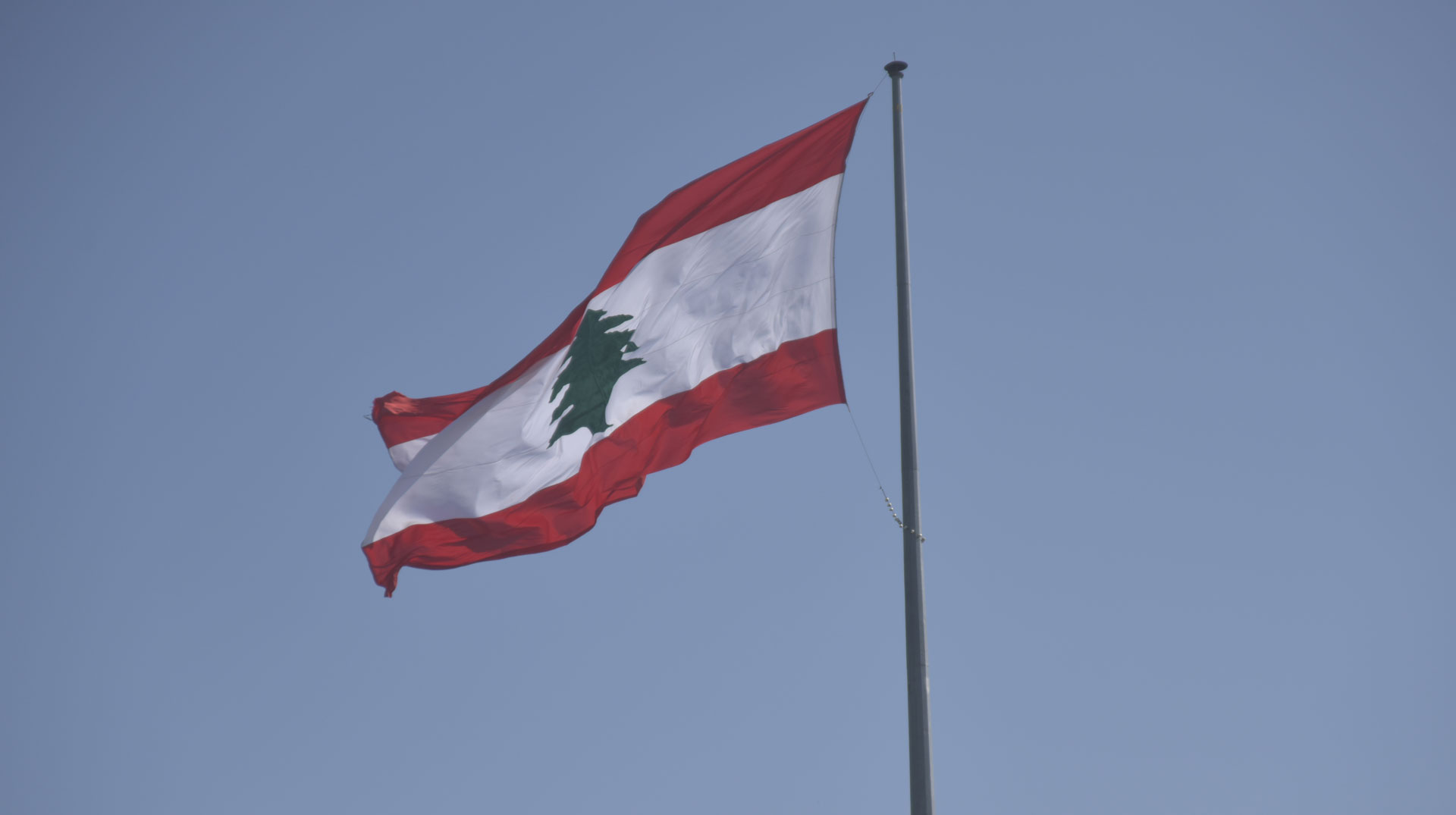 Flagge/Fahne des Libanon mit Libanonzeder