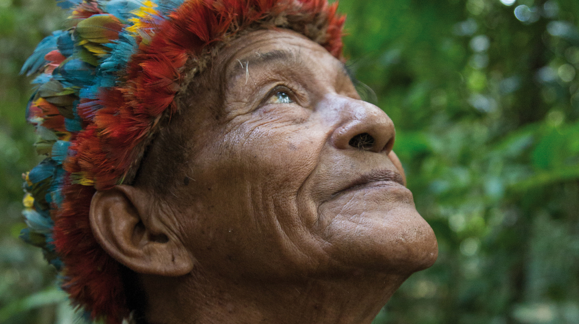 Der 87jährige Moha trägt im brasilianischen Urwald seinen Federschmuck. Seine Ahnen sind hier begraben, und er will hier auch beerdigt werden.