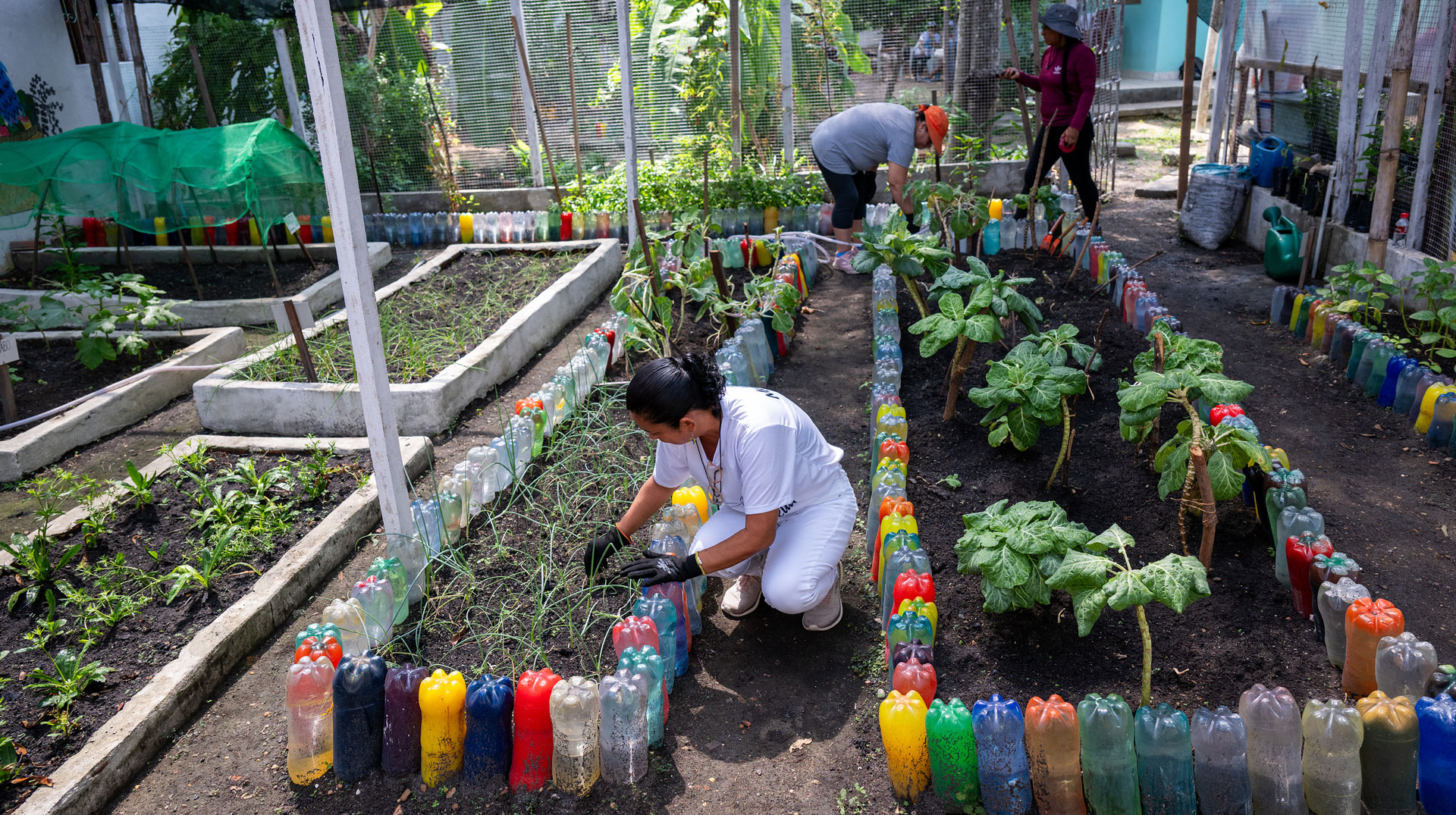 Kräuter- und Gemüsegarten in der Casa Amazonica Francisco e Clara, Stadtteil Zumbi dos Palmares