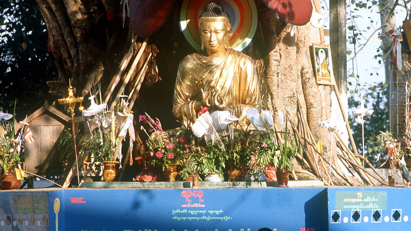 Kirche gratuliert Buddhisten zu höchstem Festtag