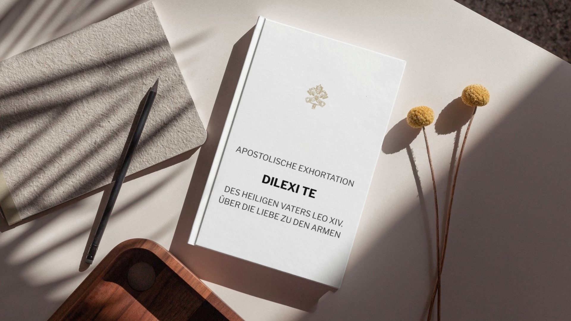 Dilexit te Buchcover-Illustration