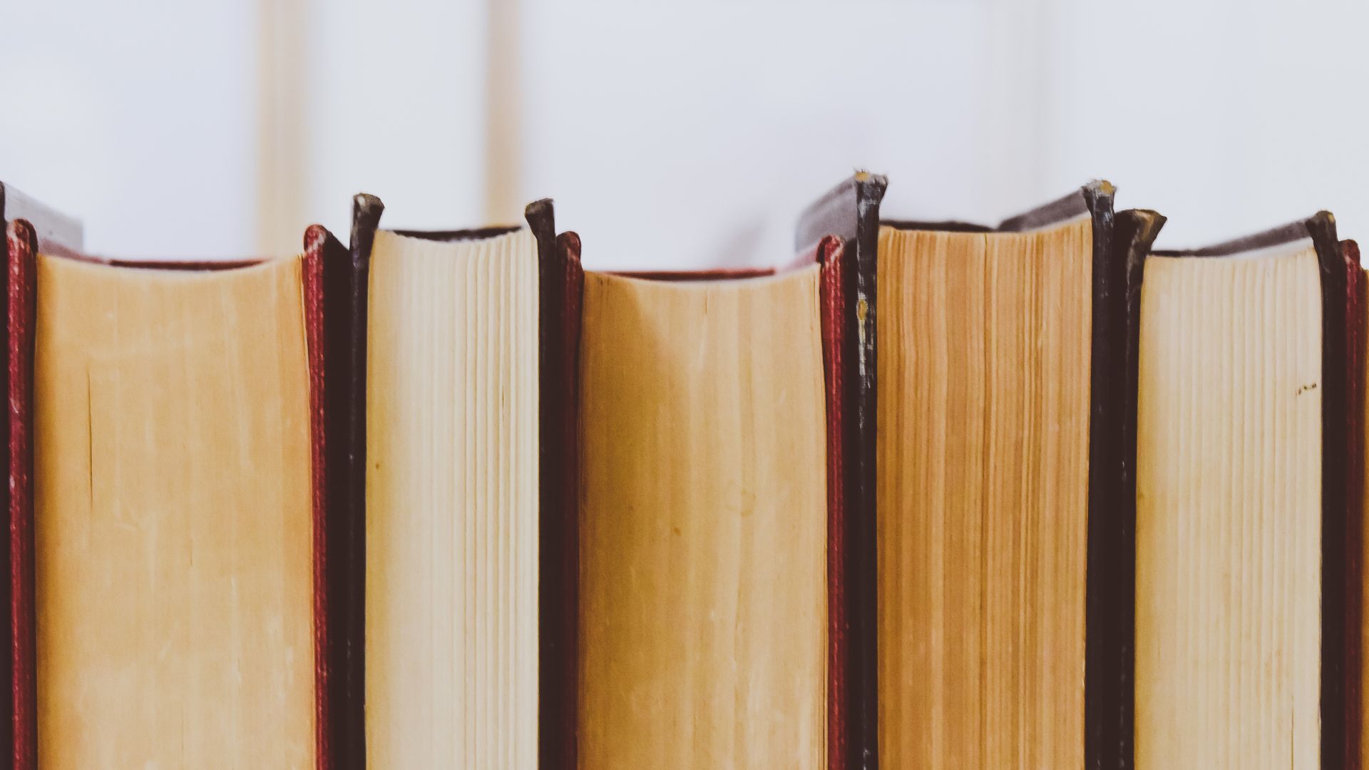 Bücher stehen nebeneinander