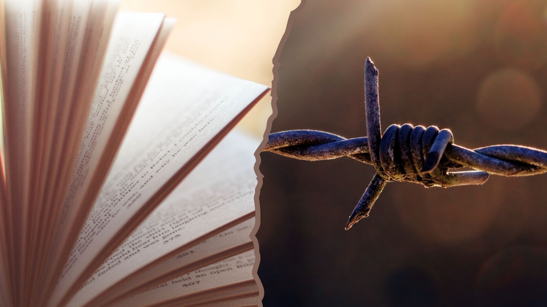 Ein aufgeschlagenes Buch, daneben ein Stück Stacheldraht
