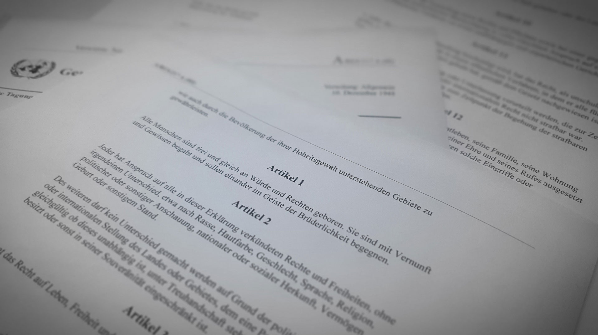 Menschenrechtskonvention Artikel 1: Alle Menschen sind frei und gleich an Würde und Rechten geboren. Sie sind mit Vernunft und Gewissen begabt und sollen einander im Geiste der Brüderlichkeit begegnen. 