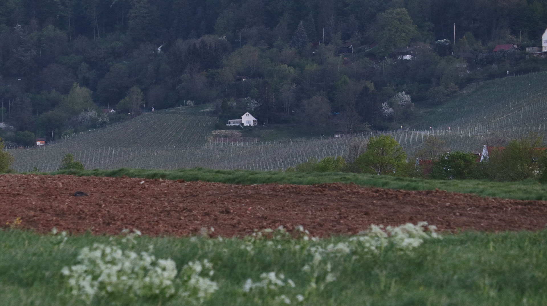 Landwirtschaft, Weinbau, Ackerbau