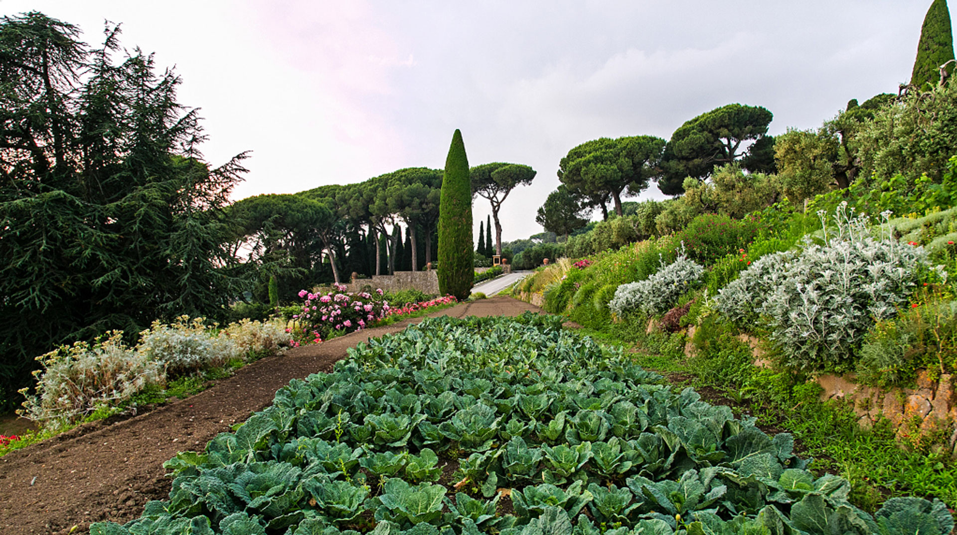 Gemüsegarten des Castel Gandolfo in Italien