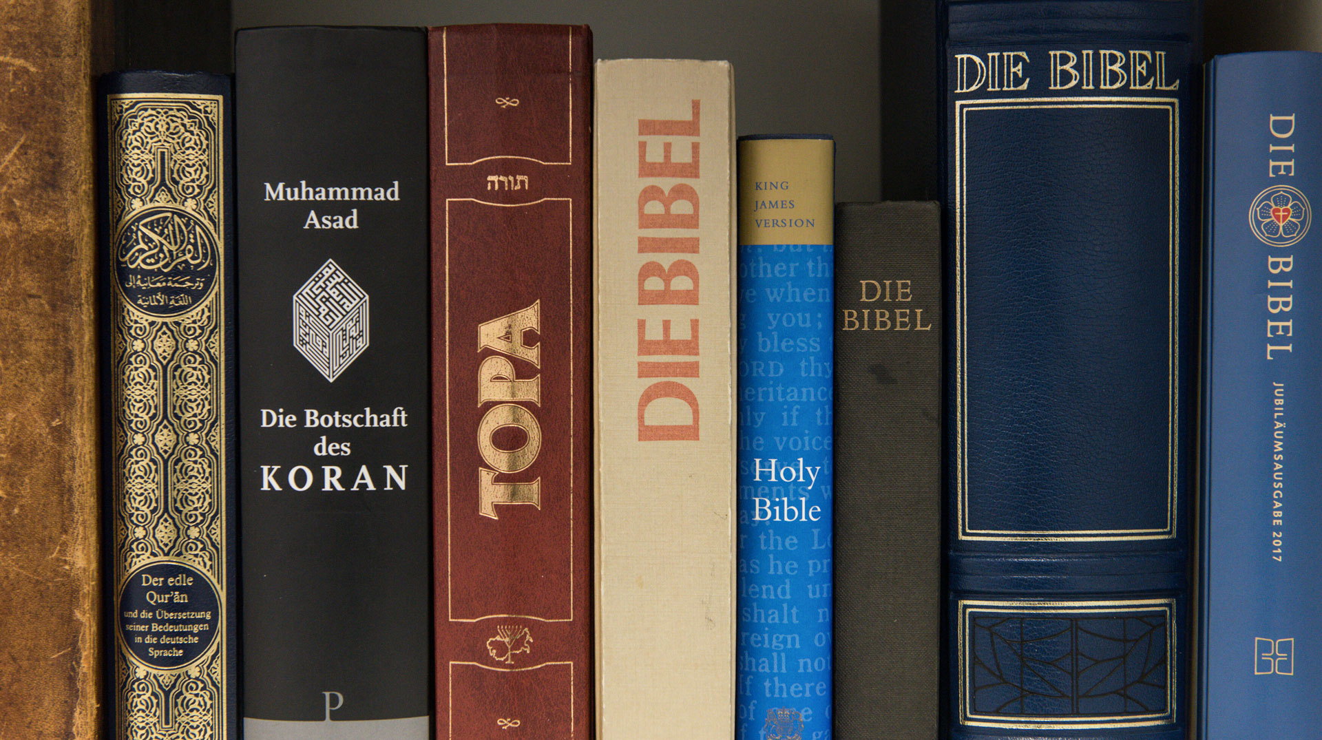 Blick auf die Buchrücken verschiedener Ausgaben des Koran, der Thora und der Bibel nebeneinander in einem Bücherregal. Die Bücher sind die heiligen Schriften der drei abrahamitischen Religionen Islam, Judentum und Christentum.