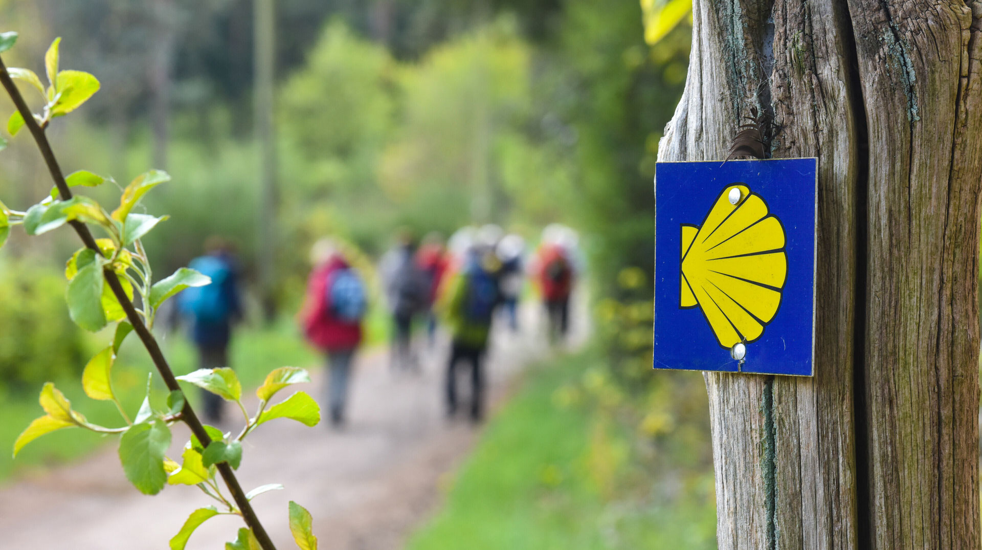 Pilgerinnen gehen am 19. April 2017 auf ihrem Pilgerweg nach Trier im Wald an einem Hinweisschild für den Jakobs-Pilgerweg vorbei - einer gelben Jakobsmuschel.