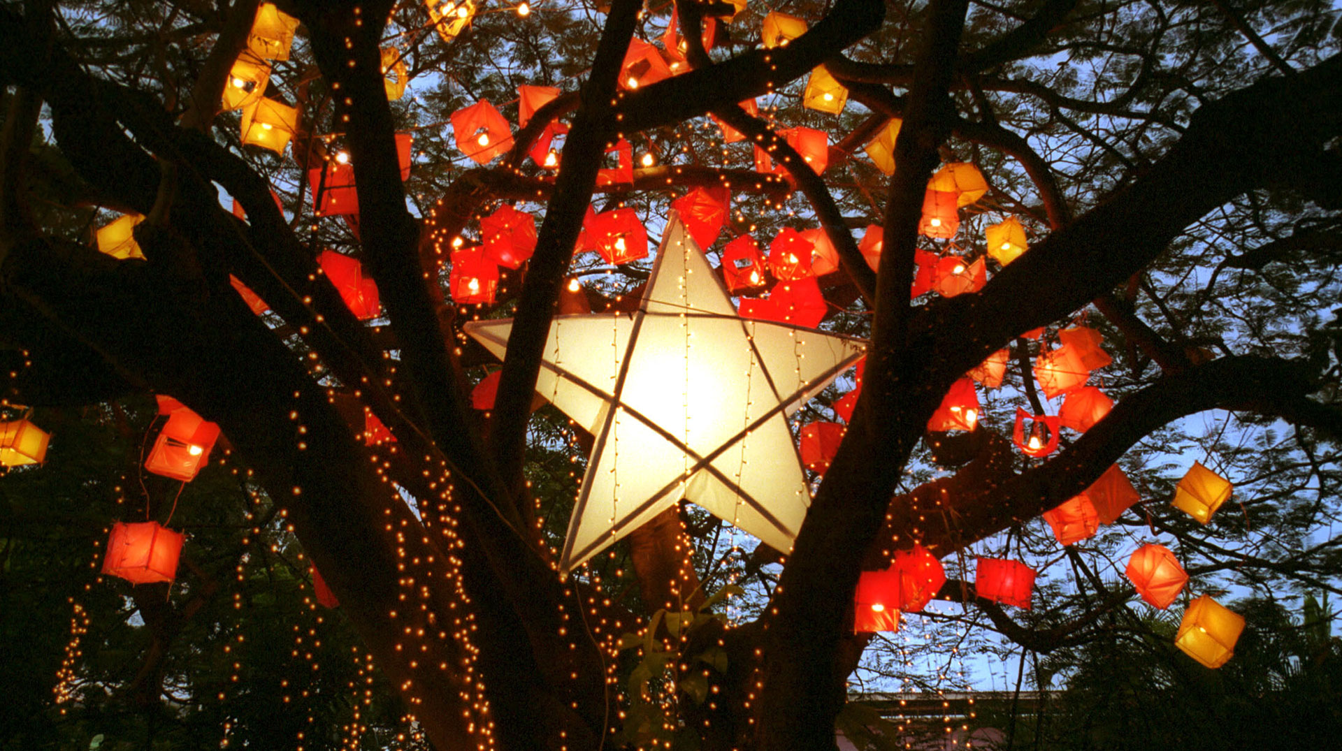 Valencia (offiziell: City of Valencia) ist eine Stadt der vierten Einkommensklasse in der Provinz Bukidnon auf den Philippinen. Valencia City liegt im Herzen der Insel Mindanao.