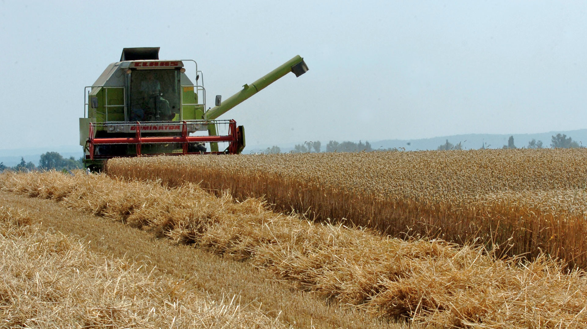 Getreideernte / Landwirtschaft: Ein Bauer erntet mit einem Mähdrescher ein Getreidefeld ab.