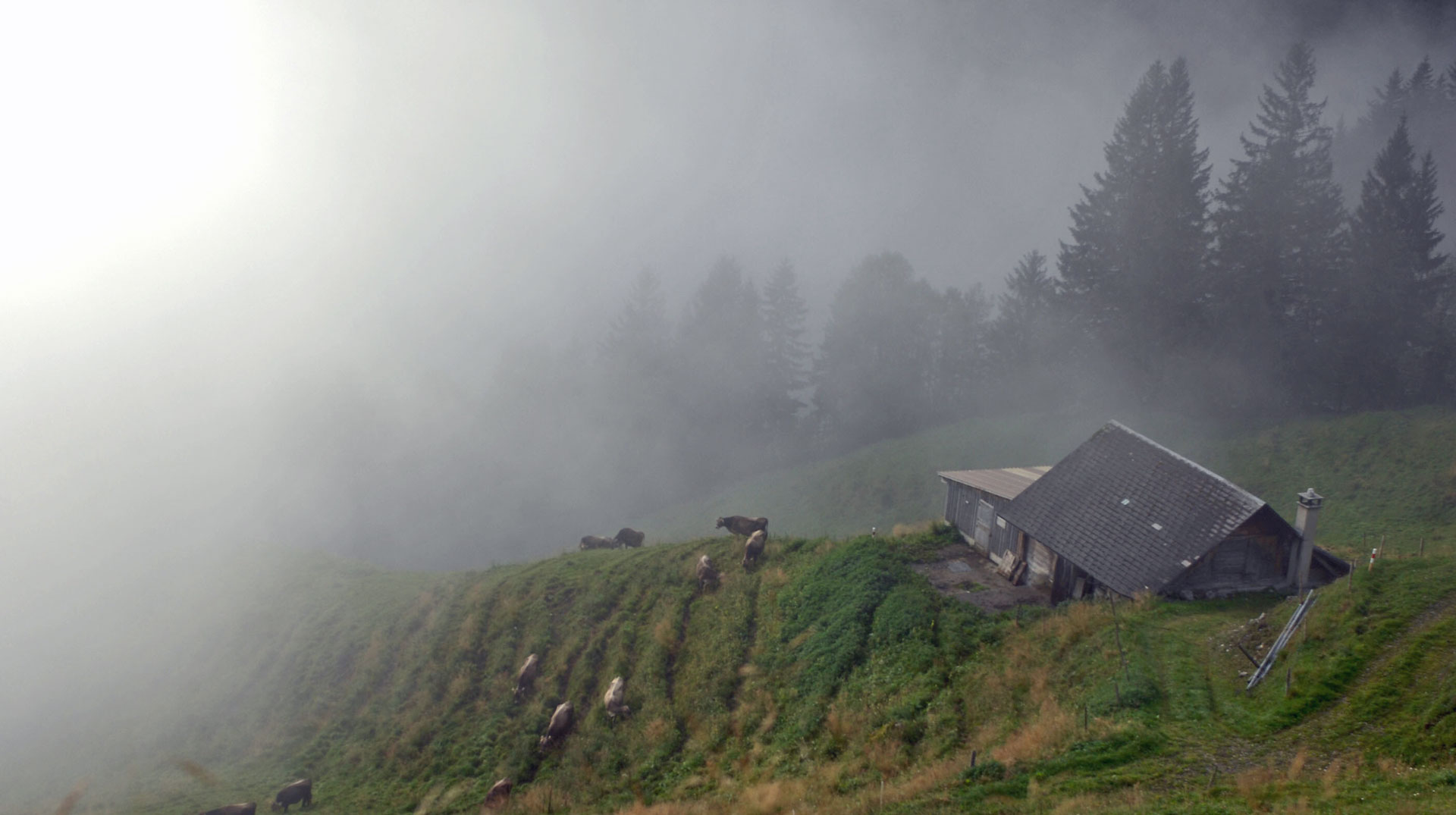 Ein Alphof ist im kleinen Melchtal von Morgennebel umgeben am 2. September 2008.