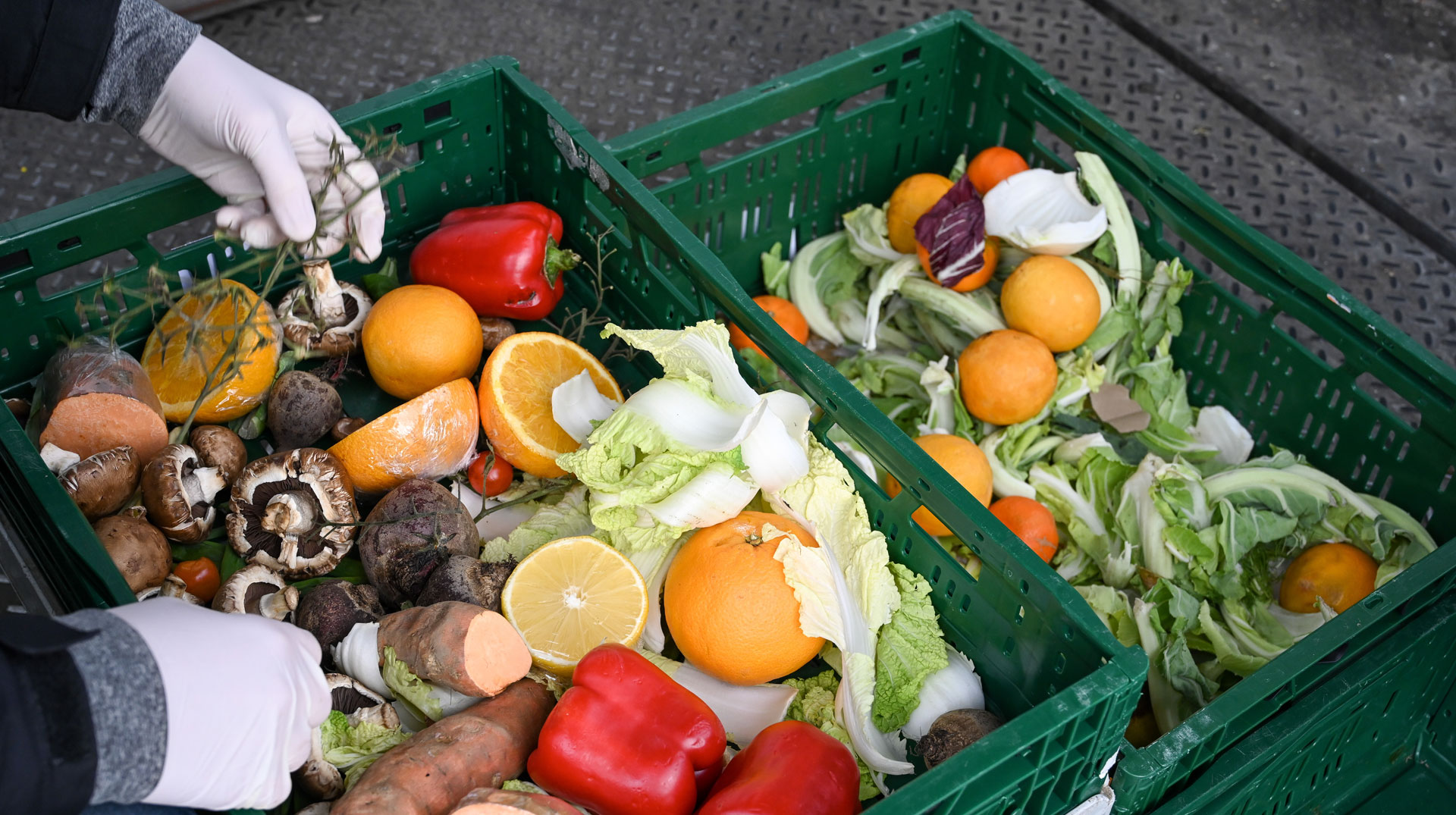 Gerettete Lebensmittel, Symbolbild Foodsharing