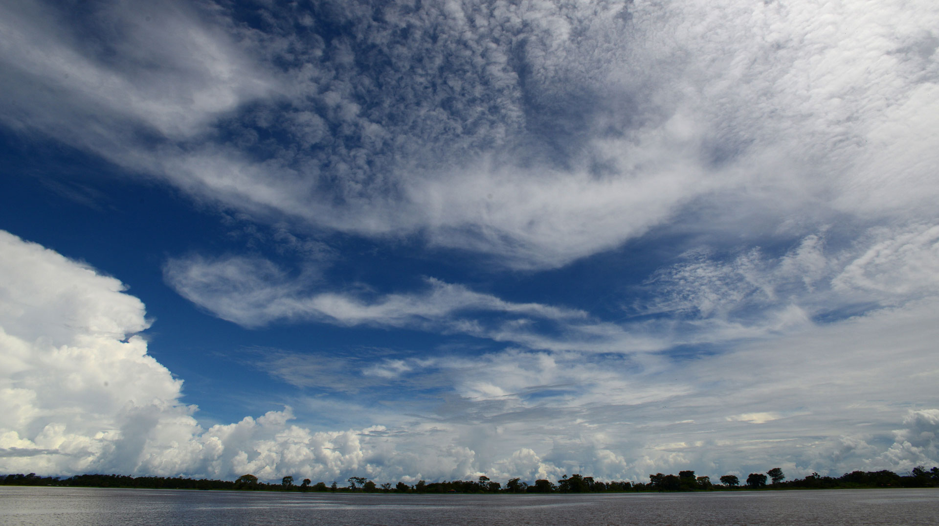 Der Amazonas bei Óbidos (Brasilien)