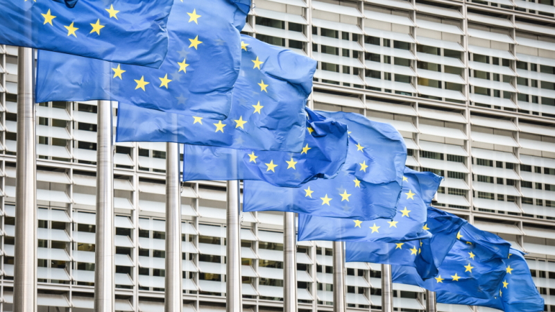 Entwicklungspolitik in der deutschen Ratspräsidentschaft