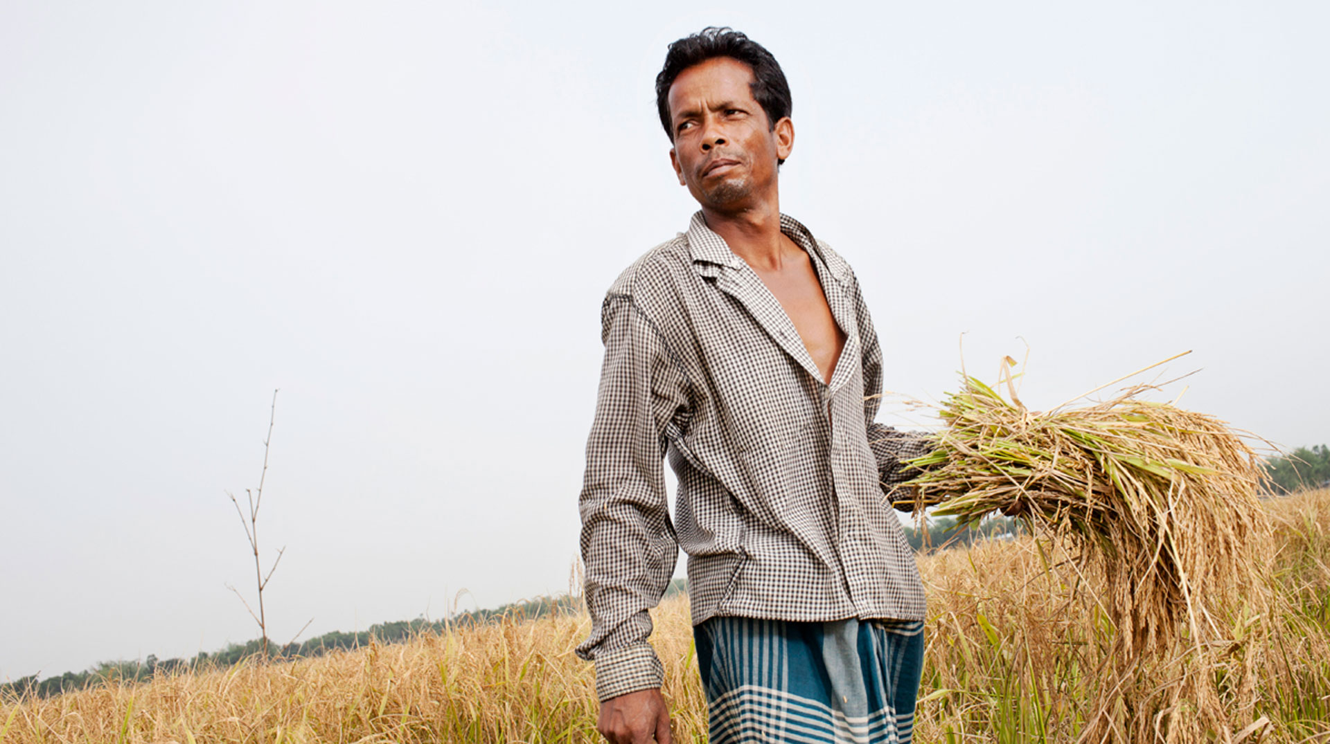 Bauer in Bangladesh steht auf seinem Feld, in der Hand ein Bündel Getreide