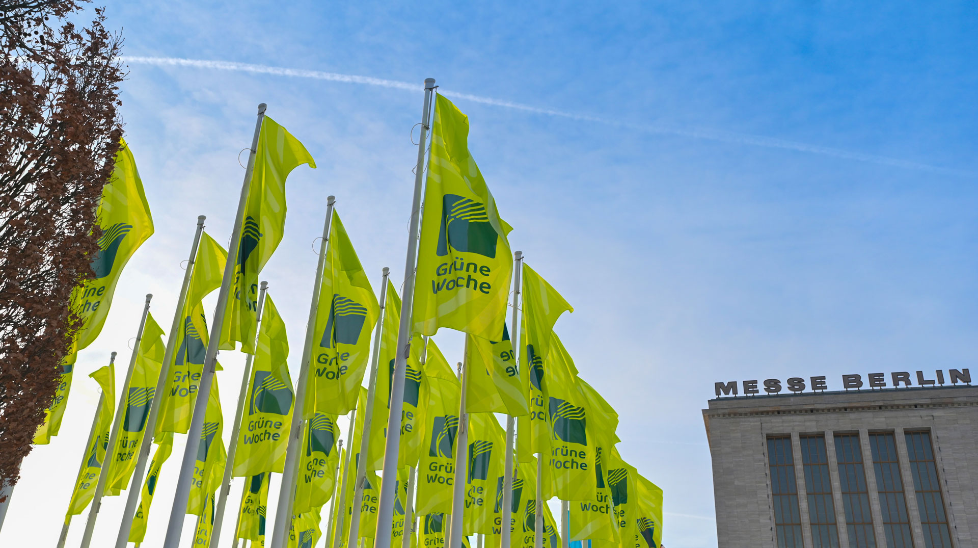 Grüne Woche, Symbolbild