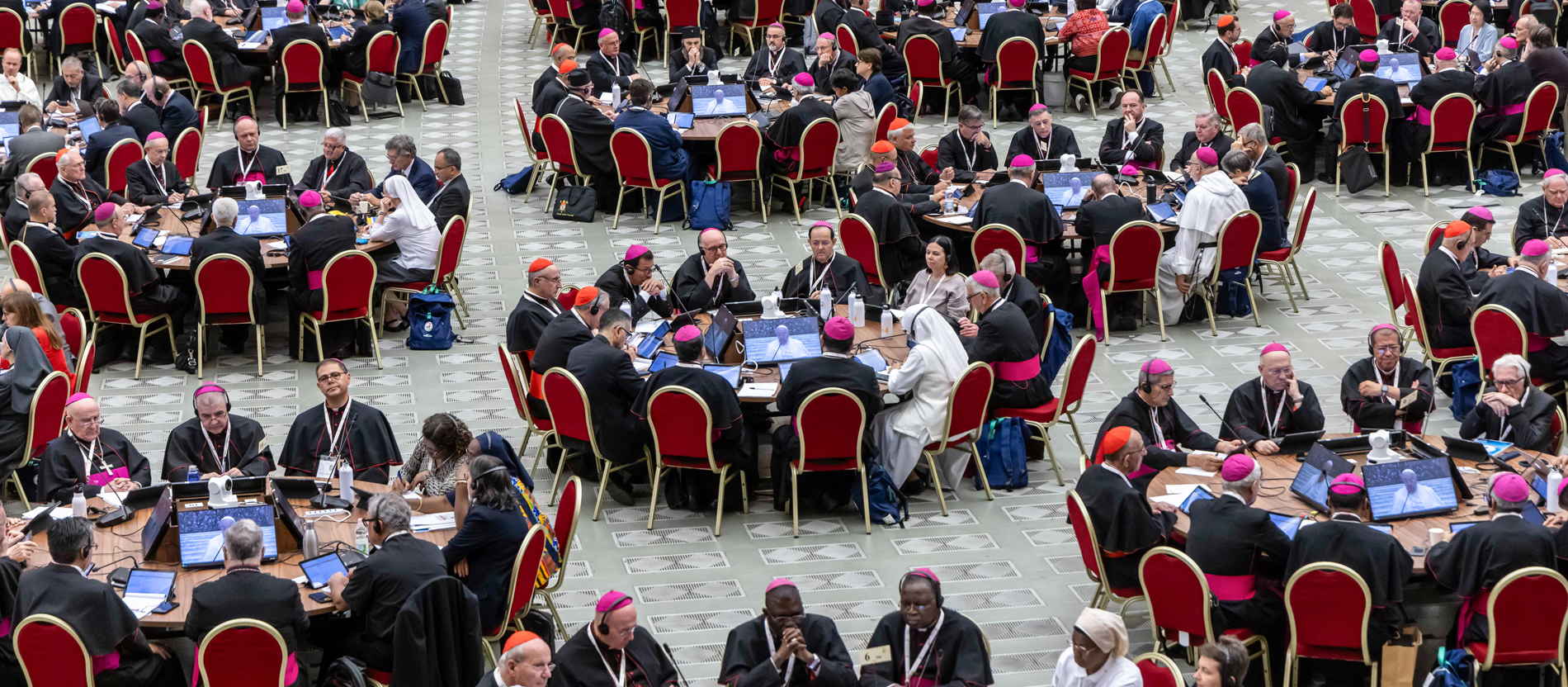 The participants of the World Synod in dialogue
