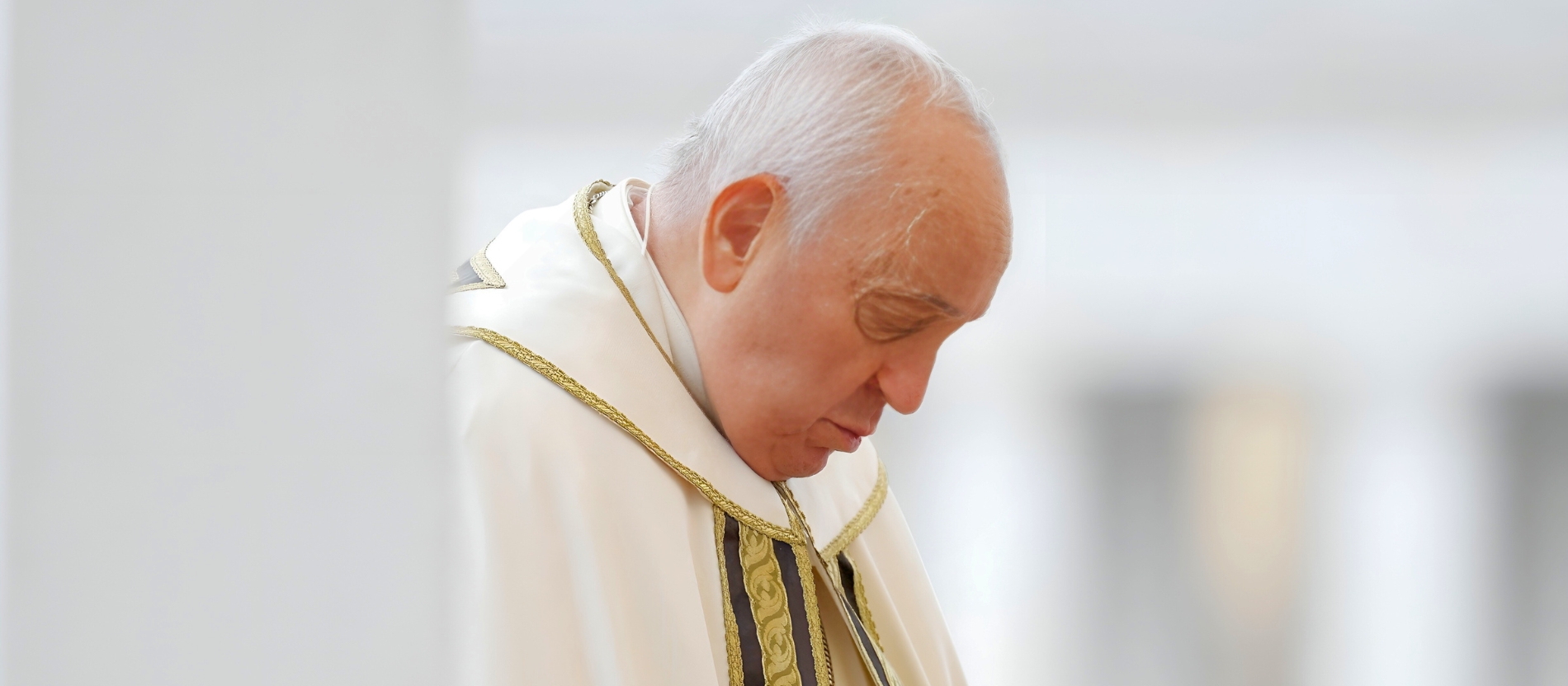 Pope Francis in profile