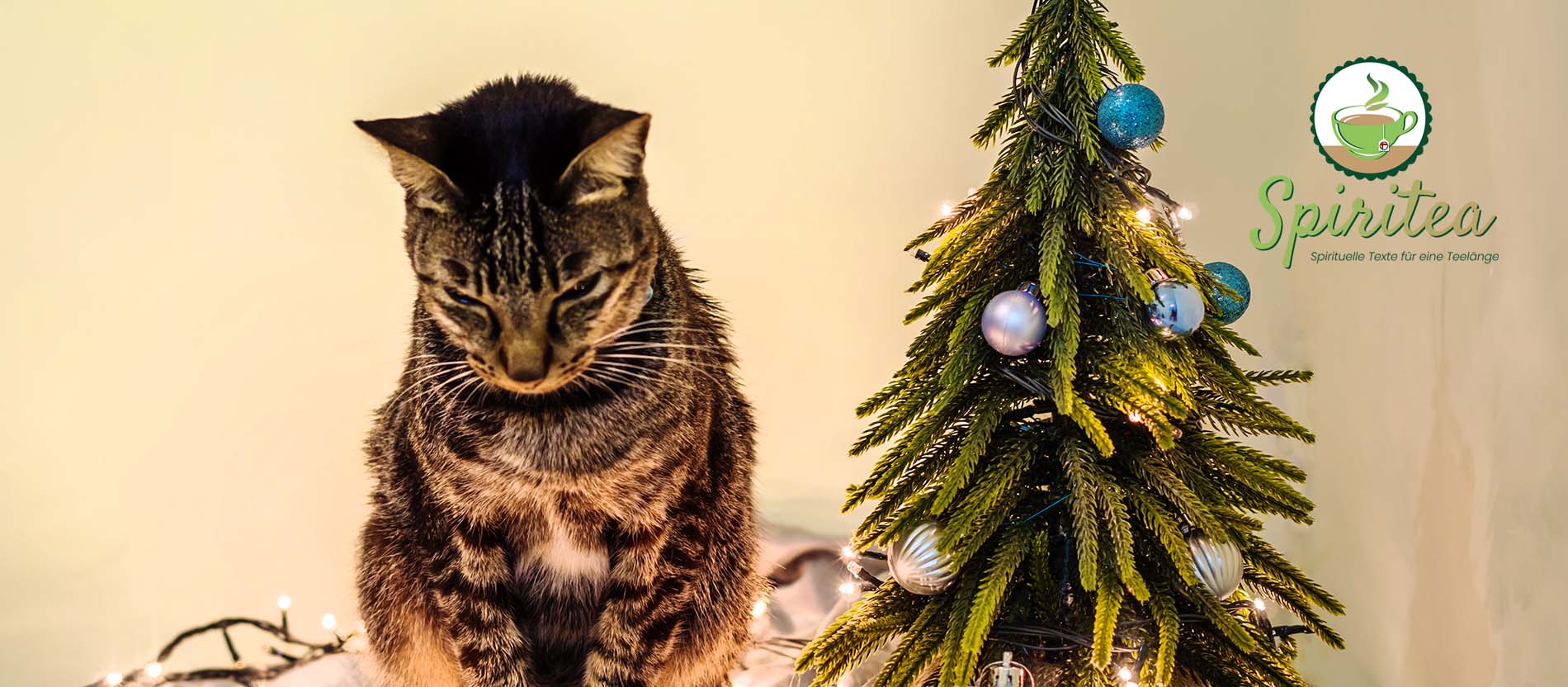 Warum "mütend" nicht nur in diesem Jahr eine Adventsstimmung ist 