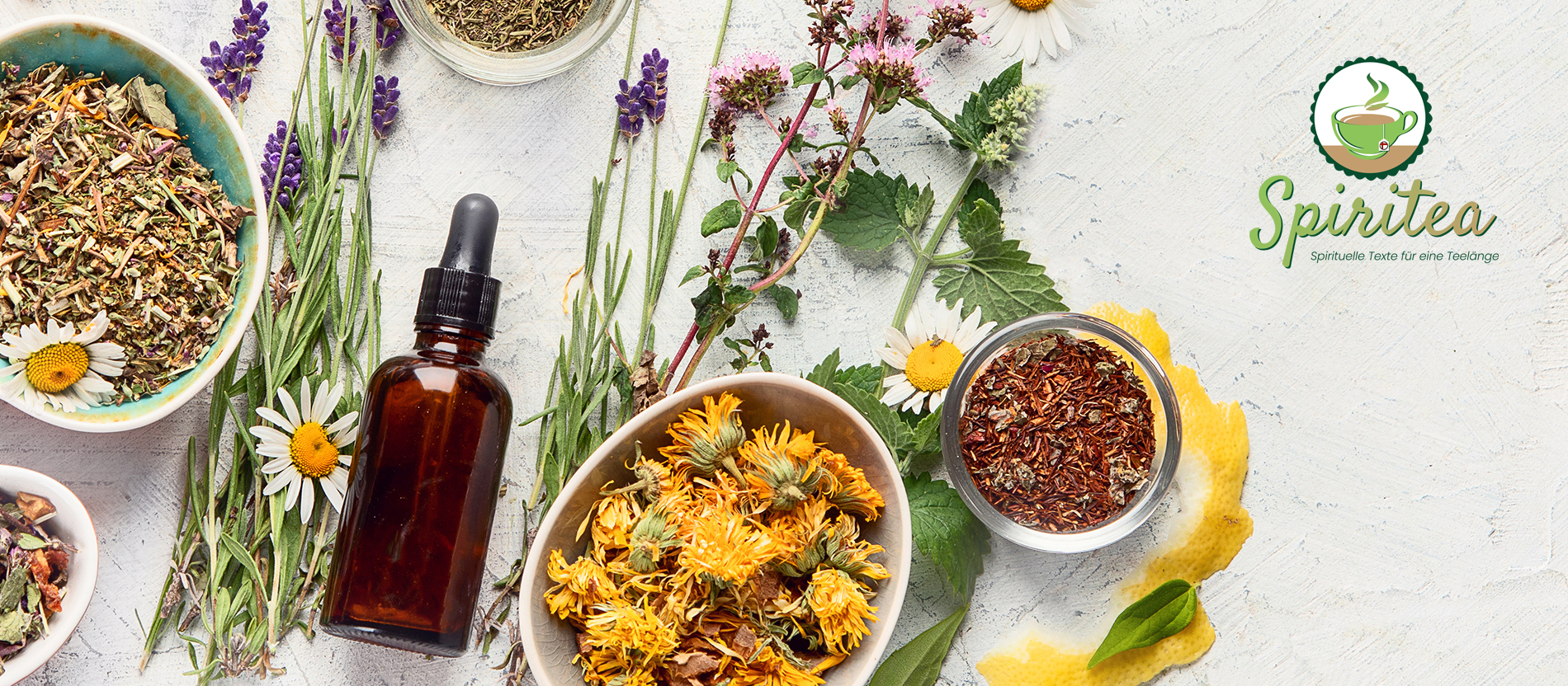 Heilpflanzen: Ein Home-Gardening-Projekt mit Effekt für die Psyche 