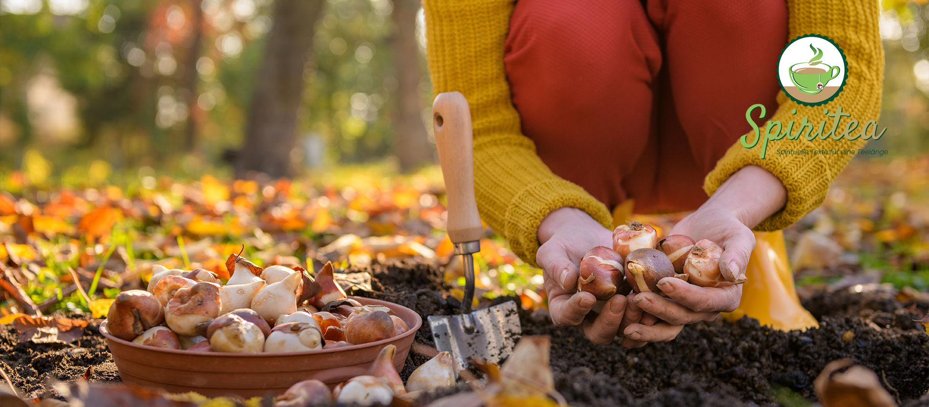 Tipps für tierfreundliches Gärtnern in Herbst und Winter
